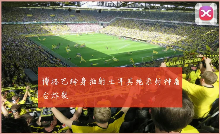 博格巴转身抽射土耳其绝杀封神看台炸裂