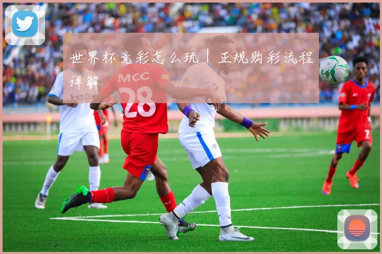 世界杯竞彩怎么玩｜正规购彩流程详解