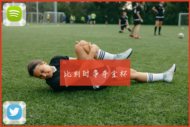 比利时争夺金杯