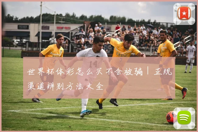 世界杯体彩怎么买不会被骗｜正规渠道辨别方法大全