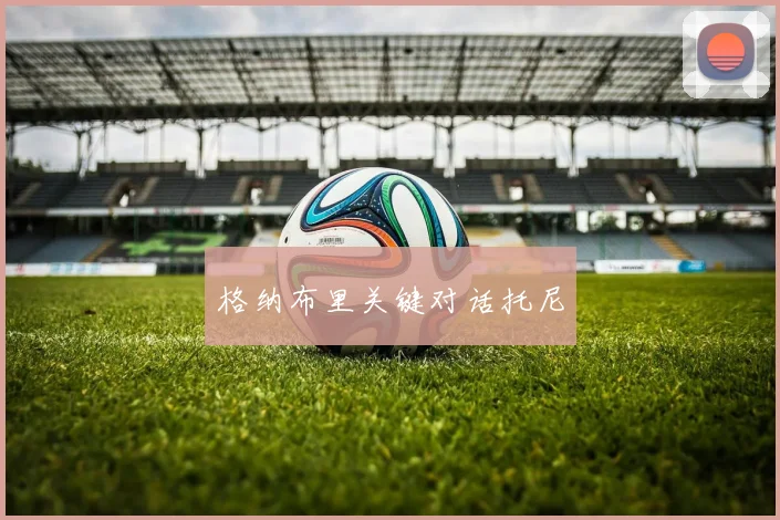 格纳布里关键对话托尼