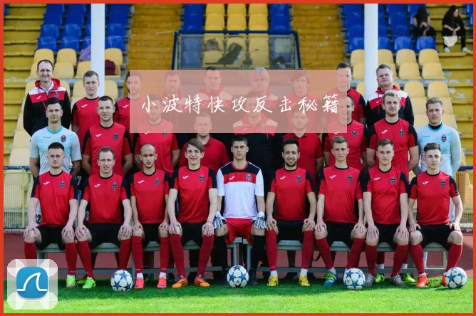 小波特快攻反击秘籍