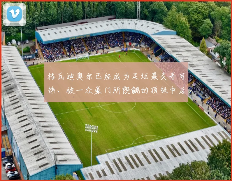 格瓦迪奥尔已经成为足坛最炙手可热、被一众豪门所觊觎的顶级中后卫