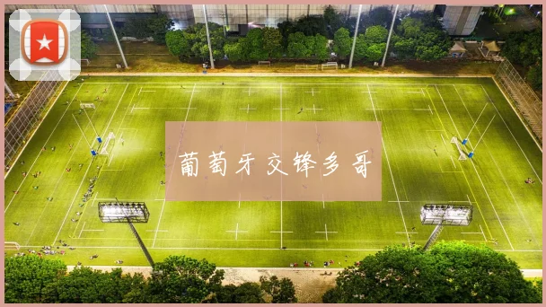 葡萄牙交锋多哥
