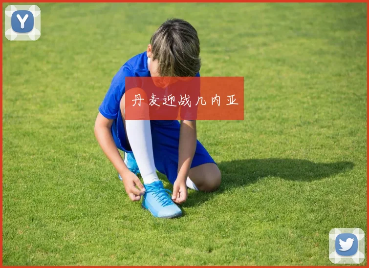 丹麦迎战几内亚