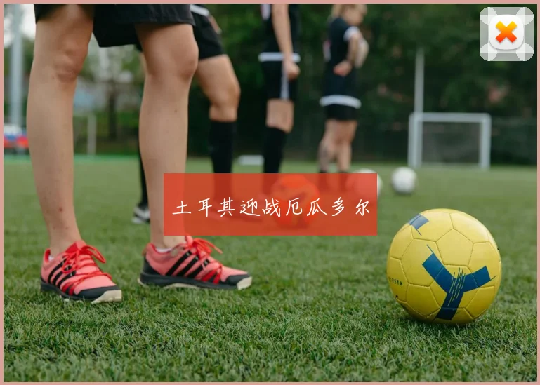 土耳其迎战厄瓜多尔