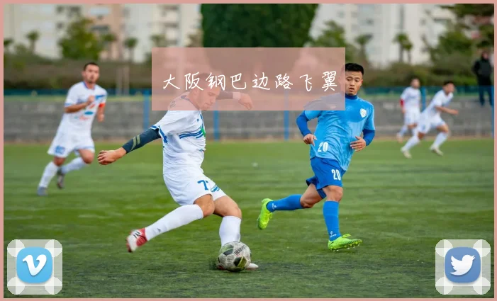 大阪钢巴边路飞翼