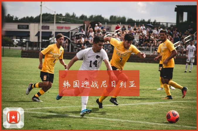 韩国迎战尼日利亚
