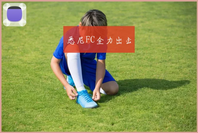悉尼FC全力出击