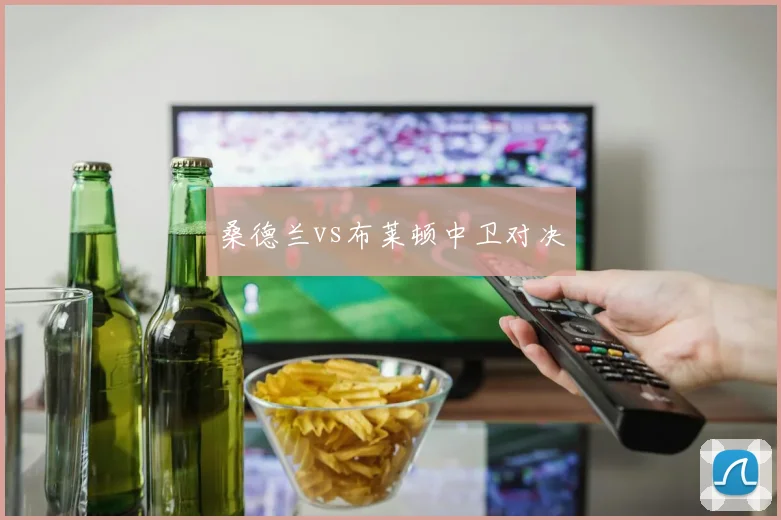 桑德兰vs布莱顿中卫对决