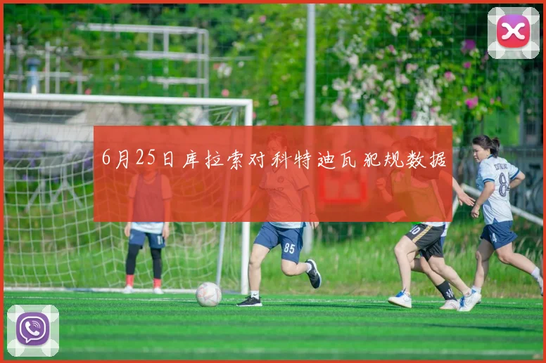 6月25日库拉索对科特迪瓦犯规数据