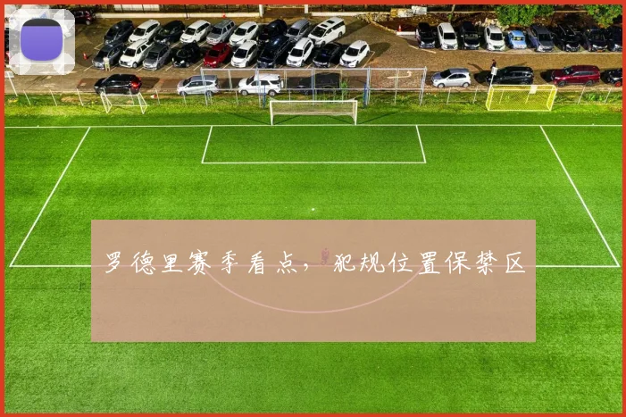罗德里赛季看点，犯规位置保禁区